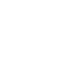 Enterprise Liferay Solutions