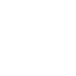 Search