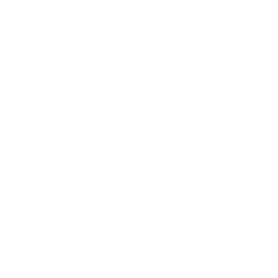 Secure Digital Platforms