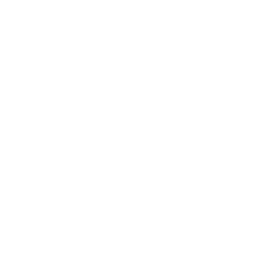 Enterprise Website Development