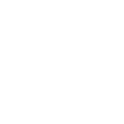 Disconnected workflows