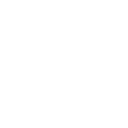 Missed critical updates
