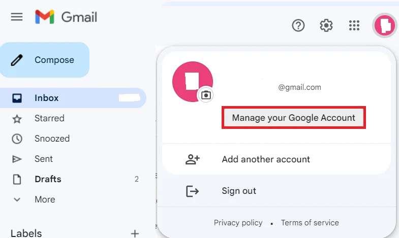 Access Gmail via web browser profile
