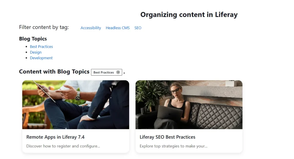 Content filtered by category only | Organizing content in Liferay : Categories vs Tags Content filtered by category only | Organizing content in Liferay : Categories vs Tags